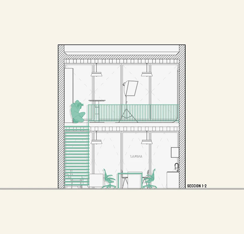 Proyecto Animas