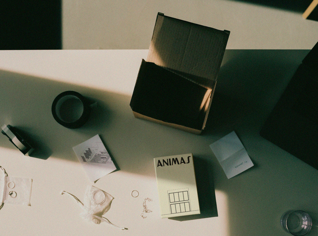 Interior - Animas