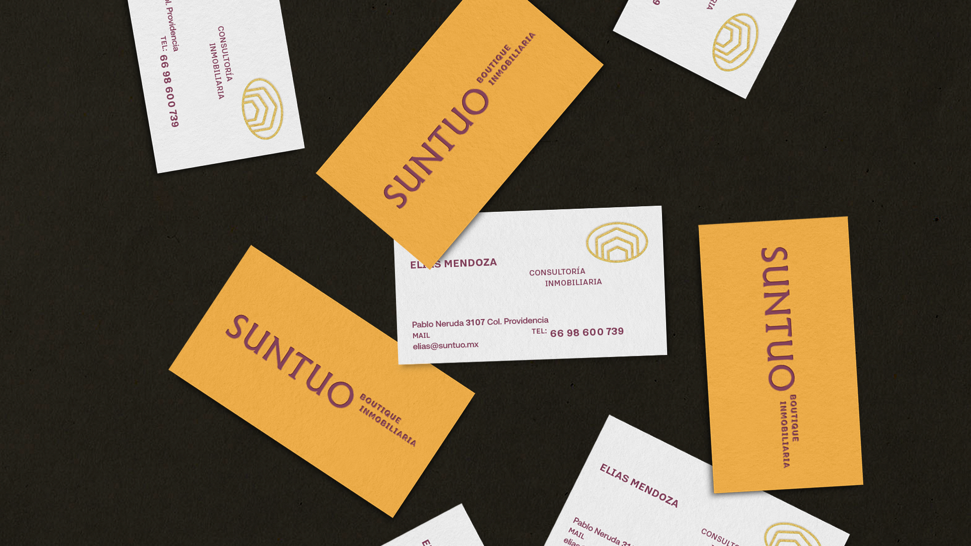 Proyecto Suntuo